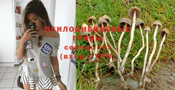 альфа пвп Покачи