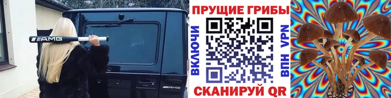 Псилоцибиновые грибы Cubensis  Сосновка 