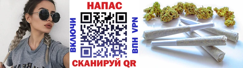Каннабис OG Kush Сосновка